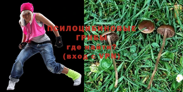 марки lsd Фурманов