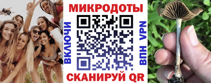 Псилоцибиновые грибы Psilocybine cubensis  Купить где  Олёкминск 